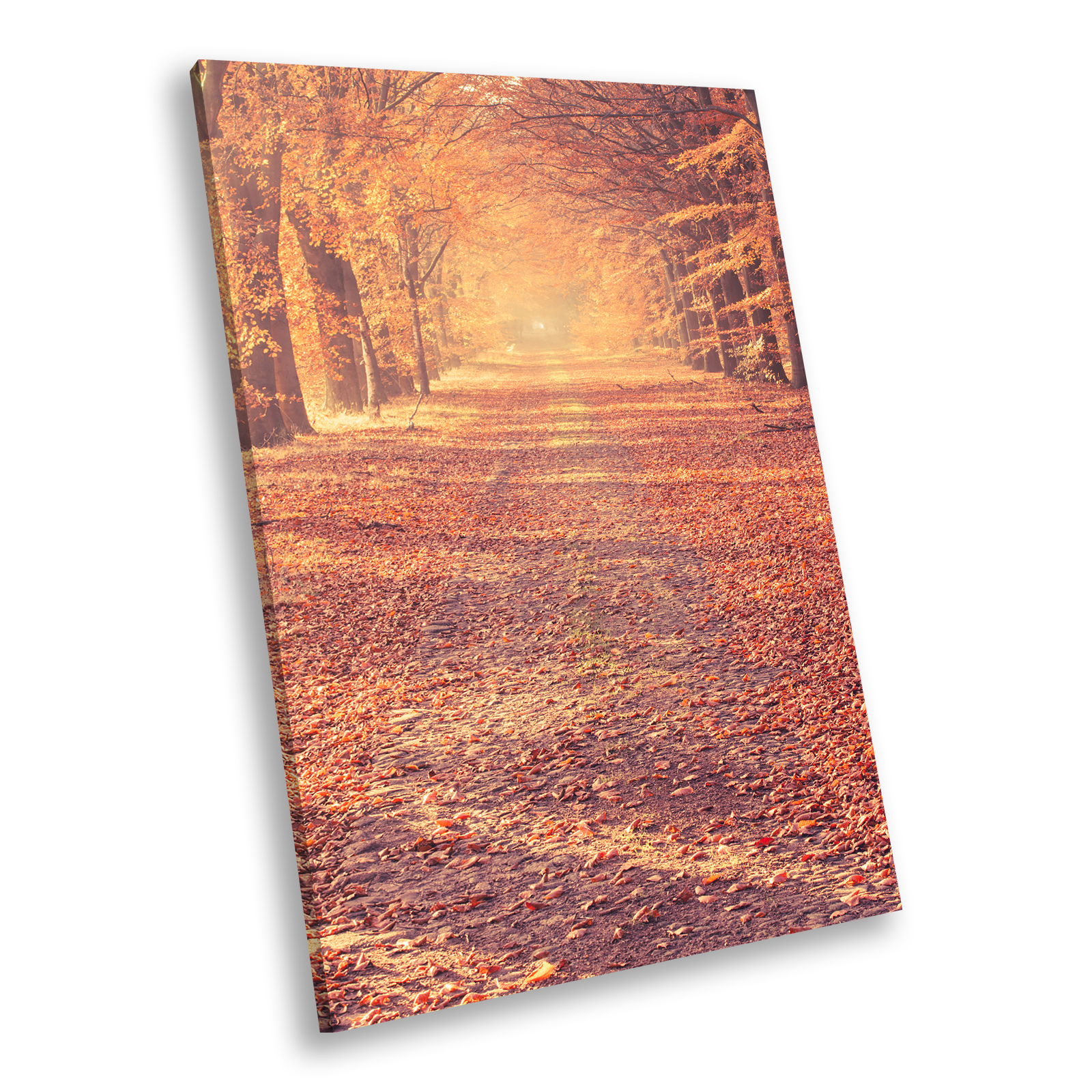 Orange Brown Autmn Trees Portrait Framed Canvas Wall Art Modern Picture Print - Picture 1 of 7