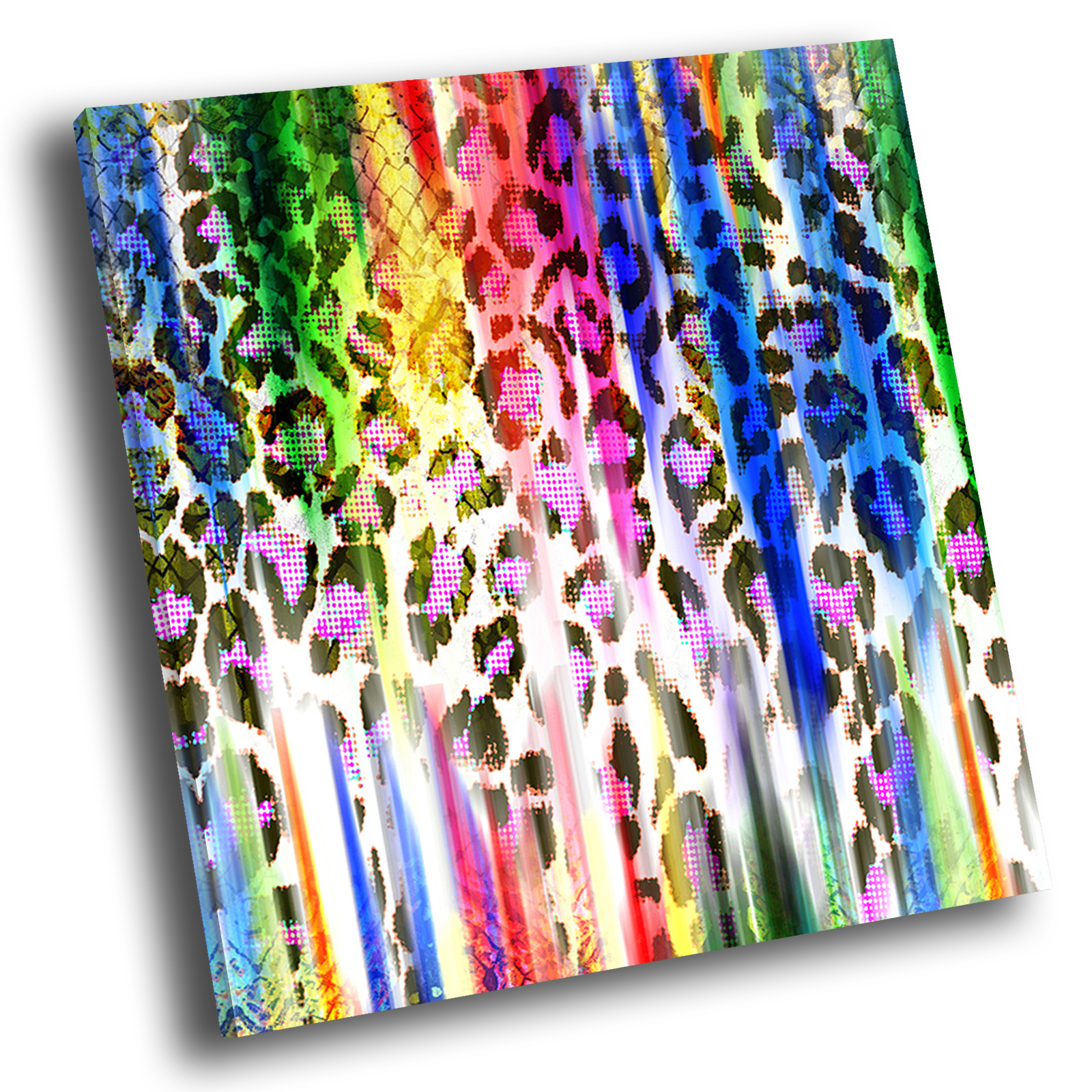 AB1008 Colourful Leopard Modern Abstract Framed Wall Art Large Picture Prints 